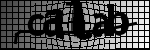Text per identificar
