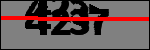 Text per identificar