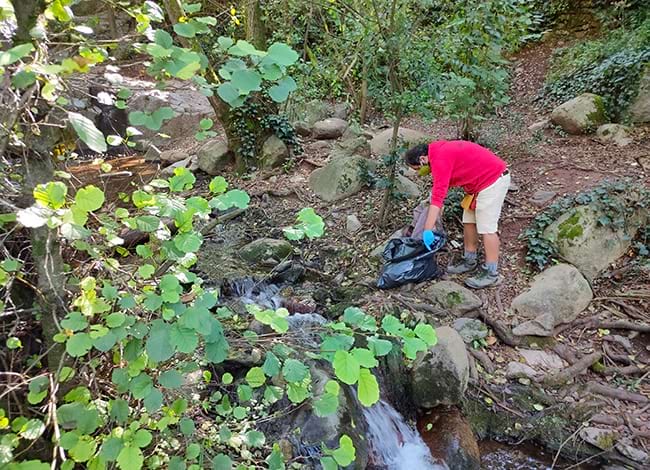 Actuacions de neteja al Parc Natural del Montseny. Autor: Turisme Montseny