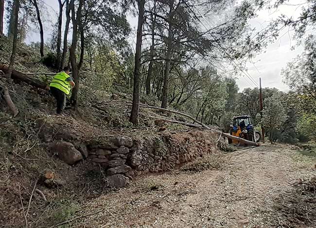 Treballs forestals a les Arenes. Autor: XPN