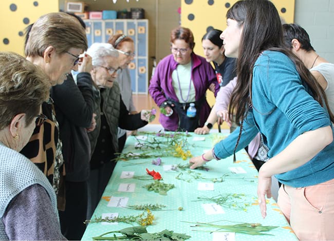 Mostra sobre plantes fresques silvestres. Autor: Centre de Serveis de Fogars de la Selva