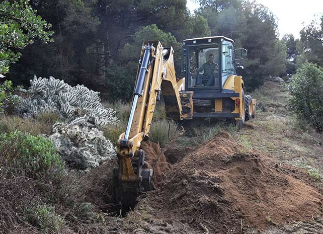 L'eliminació de la planta exòtica, a Alella. Autor: XPN