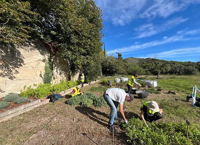 Treball als jardins. Autor: CVPN