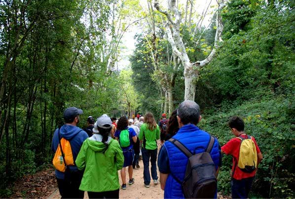 Itinerari de les fonts. Autor: Parc Natural de la Serra de Collserola