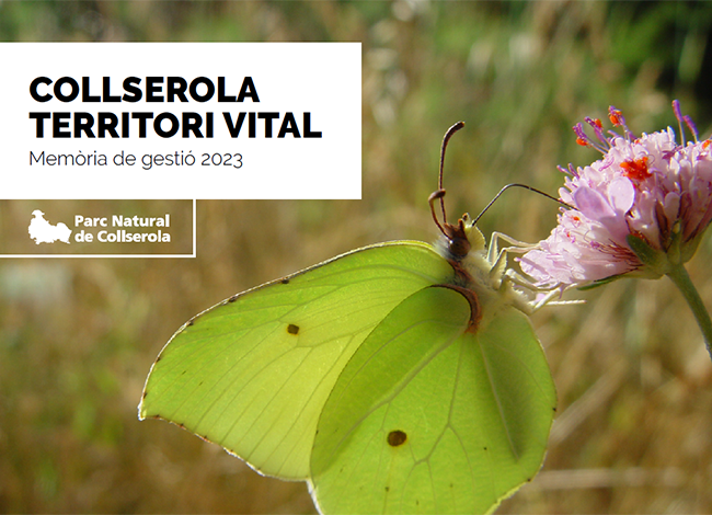 Imatge de portada de la Memòria de gestió 2023. Autor: Parc Natural de la Serra de Collserola