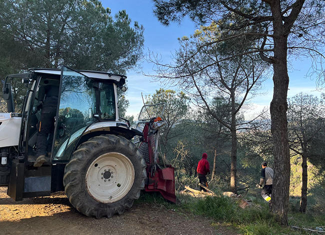 Durant les actuacions per dur a terme la gestió forestal adaptativa. Autoria: Parc Natural de la Serra de Collserola