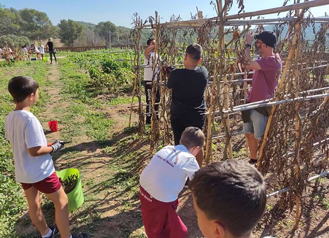 L'Escola Pompeu Fabra fent una activitat al Parc. Autor: CPNSC