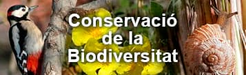 Conservació de la Biodiversitat