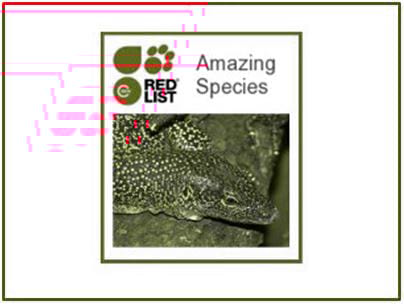 Llista vermella d'espècies amençades Museu d'Art de Cerdanyola