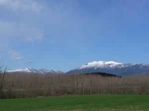 Museu d'Art de Cerdanyola