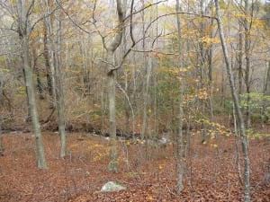 Museu d'Art de Cerdanyola