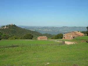 Museu d'Art de Cerdanyola