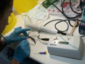 Museu d'Art de Cerdanyola