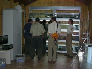 Museu d'Art de Cerdanyola