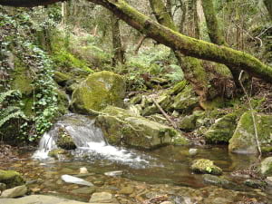 Museu d'Art de Cerdanyola