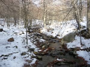 Museu d'Art de Cerdanyola