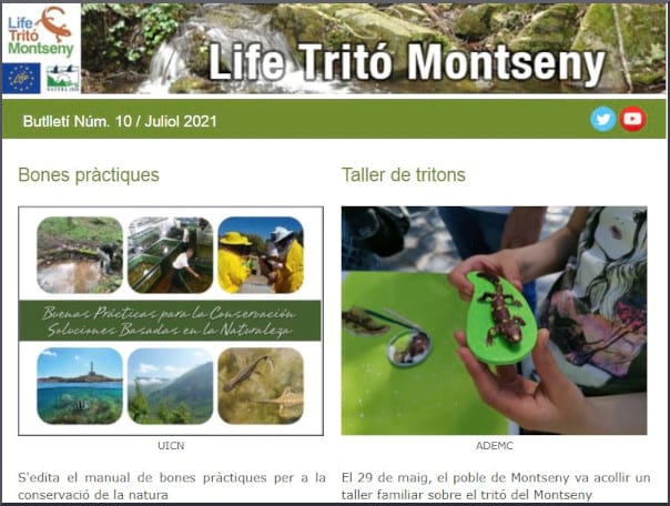 Butlletí Life Tritó Montseny