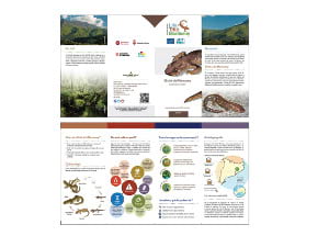 Fulletó divulgatiu. Foto: Arxiu XPN