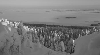 Paisatge Finlàndia. Foto: D. Guinart.
