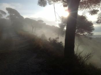 'Boira matinal a Torribera', 3r. premi paisatge. Rafael Figueras Tudela