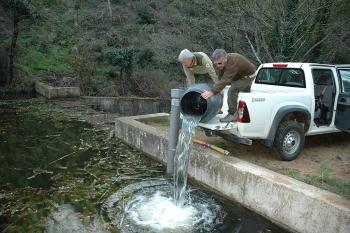 Retorn dels peixos al pantà (novembre 2017). Arxiu Montnegre - Corredor