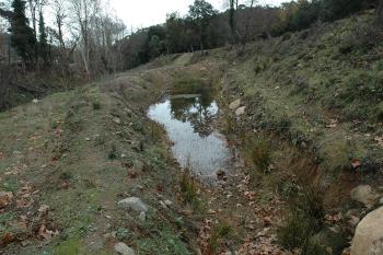 Nou propàgul de planta a Fuirosos. Arxiu Montnegre - Corredor