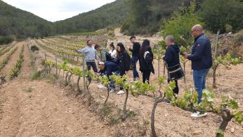 Alumnes algueresos de visita al celler Puig Batet-Finca Corral d’en Massó (Parc del Garraf). Autor: Depana (2023).