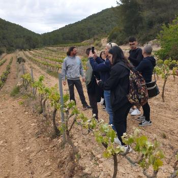 Alumnes algueresos de visita al celler Puig Batet-Finca Corral d’en Massó (Parc del Garraf). Autor: Depana (2023).