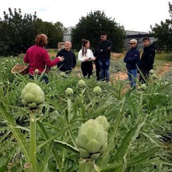 Alumnes algueresos de visita al productor Sínia Pujadas (Vilanova i la Geltrú). Autor: Depana (2023).