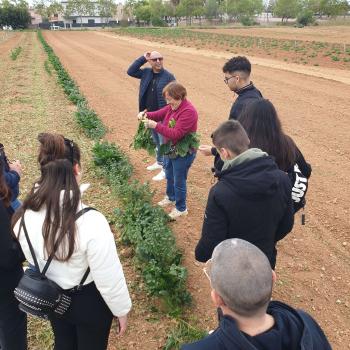 Alumnes algueresos de visita al productor Sínia Pujadas (Vilanova i la Geltrú). Autor: Depana (2023).