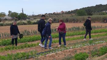 Alumnes algueresos de visita al productor Sínia Pujadas (Vilanova i la Geltrú). Autor: Depana (2023).