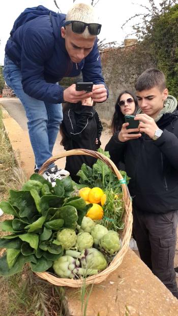 Alumnes algueresos de visita al productor Sínia Pujadas (Vilanova i la Geltrú). Autor: Depana (2023).