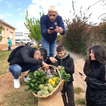 Alumnes algueresos de visita al productor Sínia Pujadas (Vilanova i la Geltrú). Autor: Depana (2023).